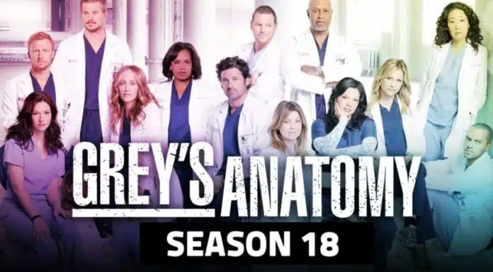 Grey's Anatomy Season 18 Poster