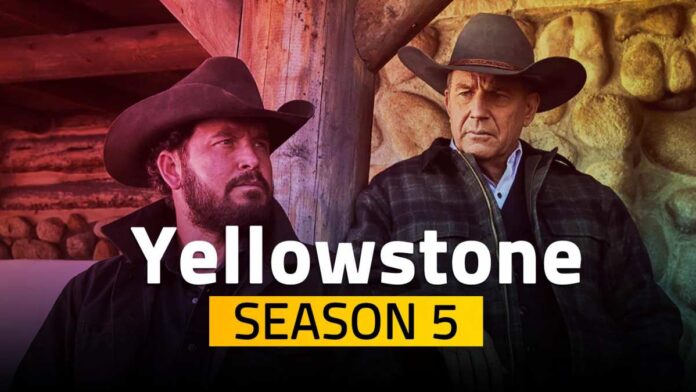 Yellowstone Season 5 News