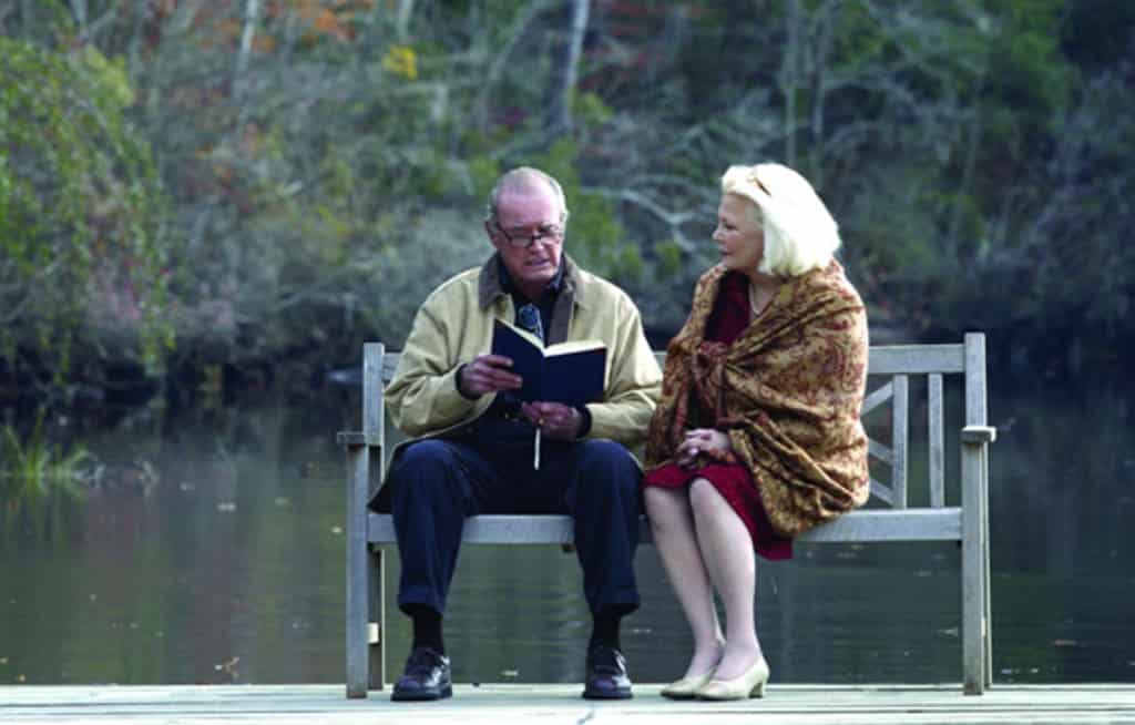 The Notebook Movie Ending Explained