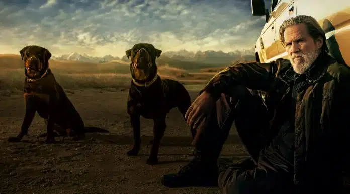 Are the Dogs in The Old Man Real or CGI