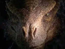 Is House of the Dragon Based on a True Story or a Book