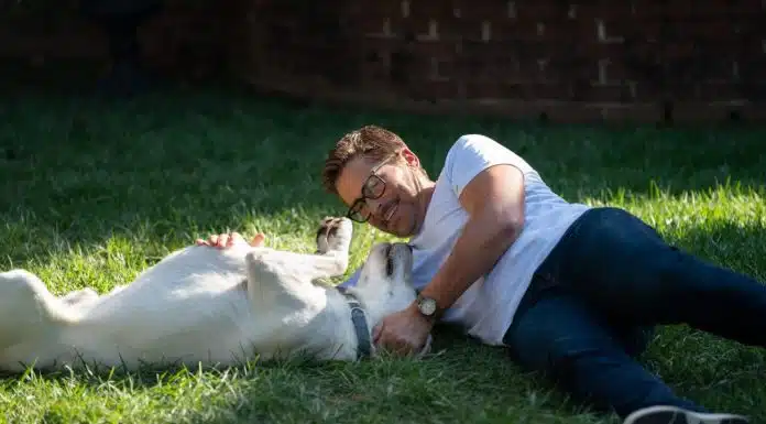 Is ‘Dog Gone’ Movie Based on a True Story? 'Dog Gone' Movie based on true story