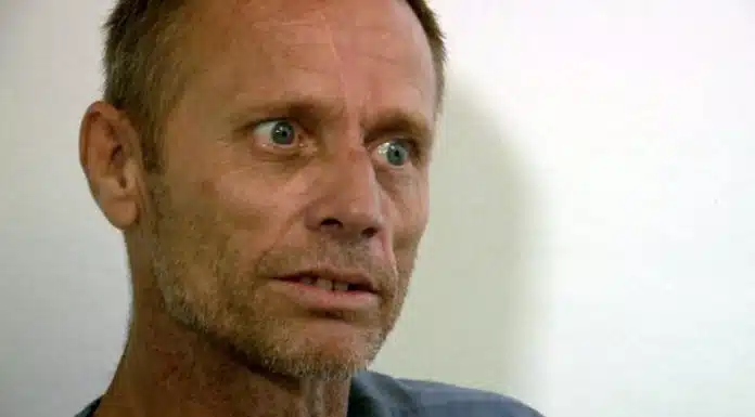 where is serial killer Michael Townson now