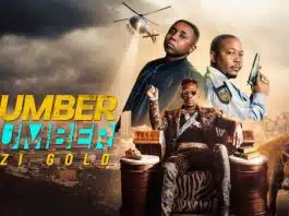 iNumber Number Jozi Gold (2023) Ending Explained